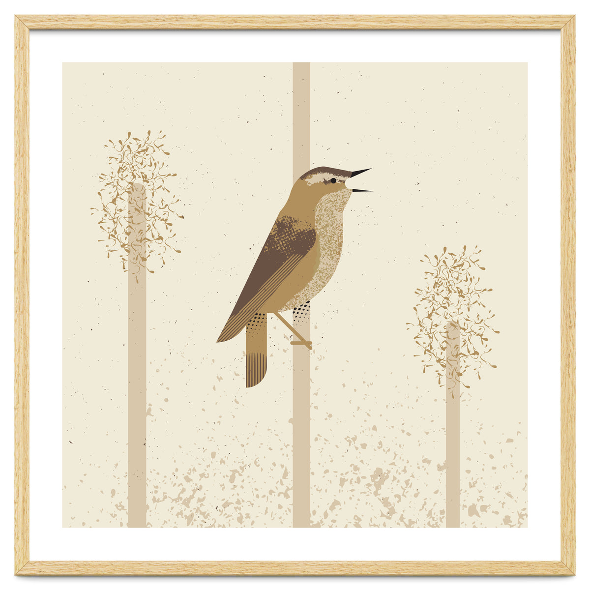 Sedge Warbler