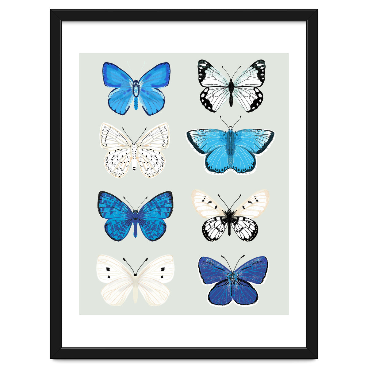 Lepidoptery Study No. 3
