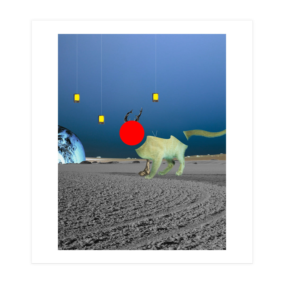 Le Cat? (Print Only)