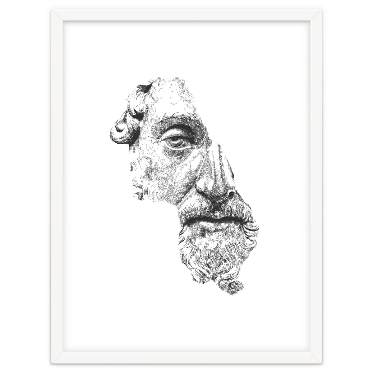 MARCUS AURELIUS ANTONINUS AUGUSTUS / black and white
