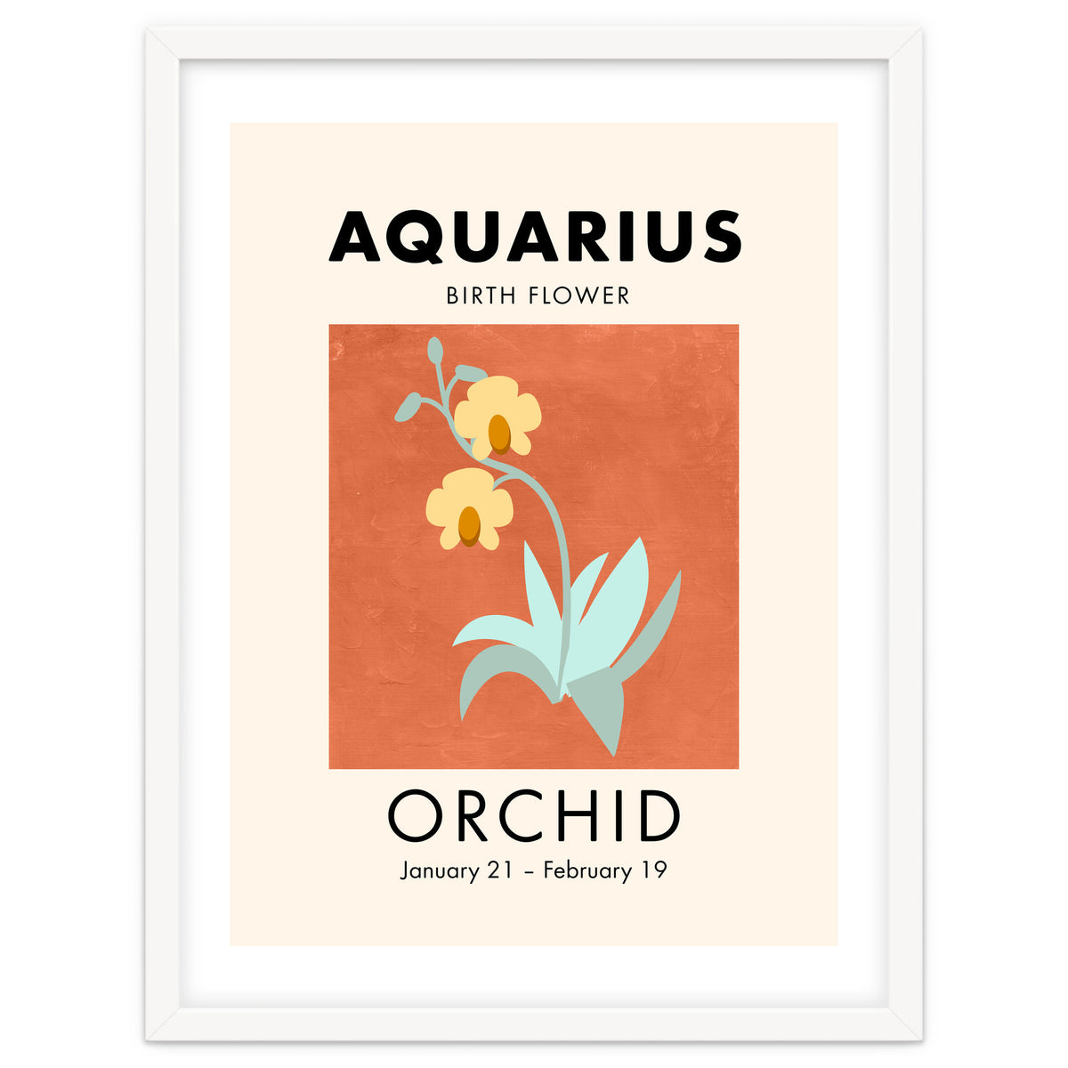Aquarius Birth Flower Orchid