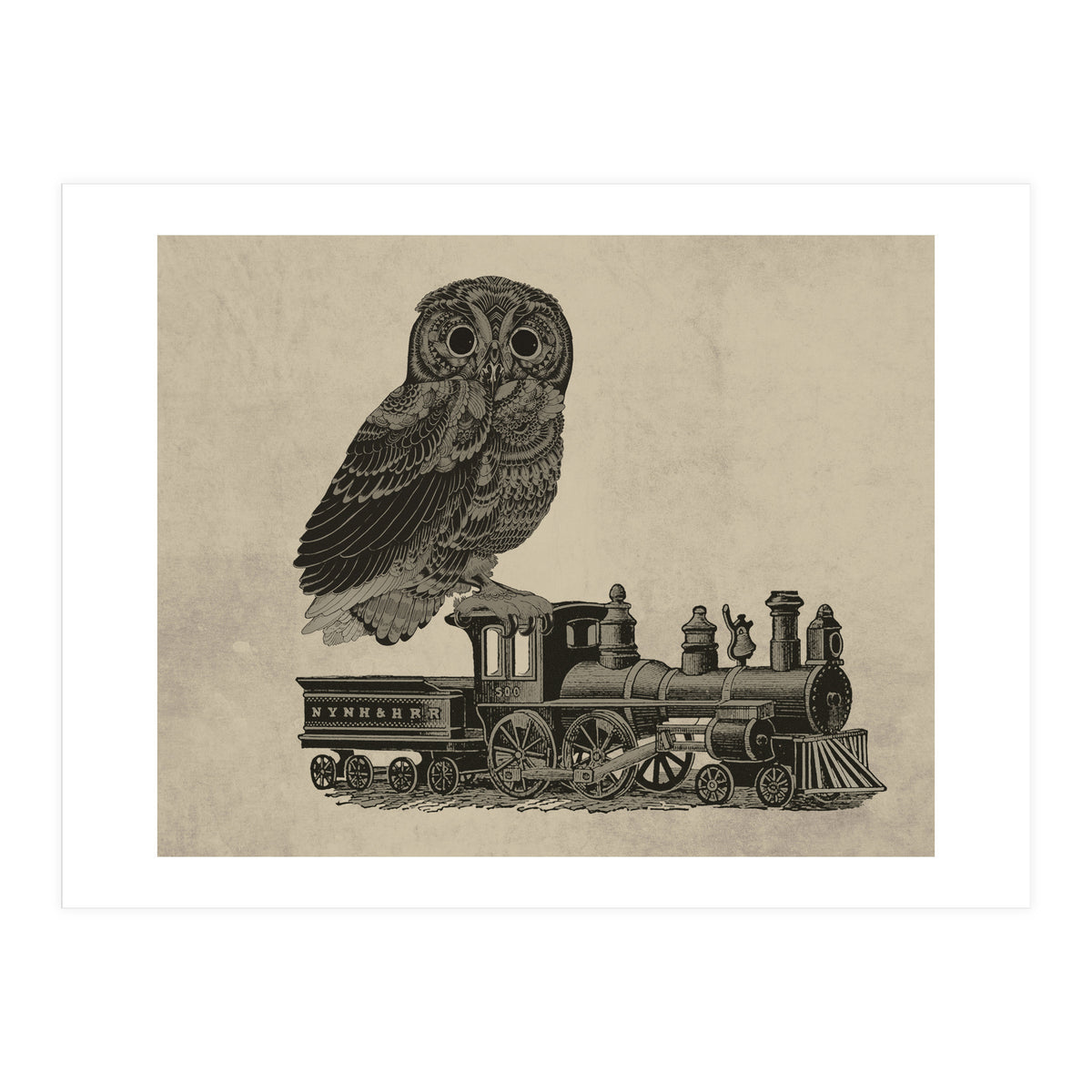 civetta (Print Only)