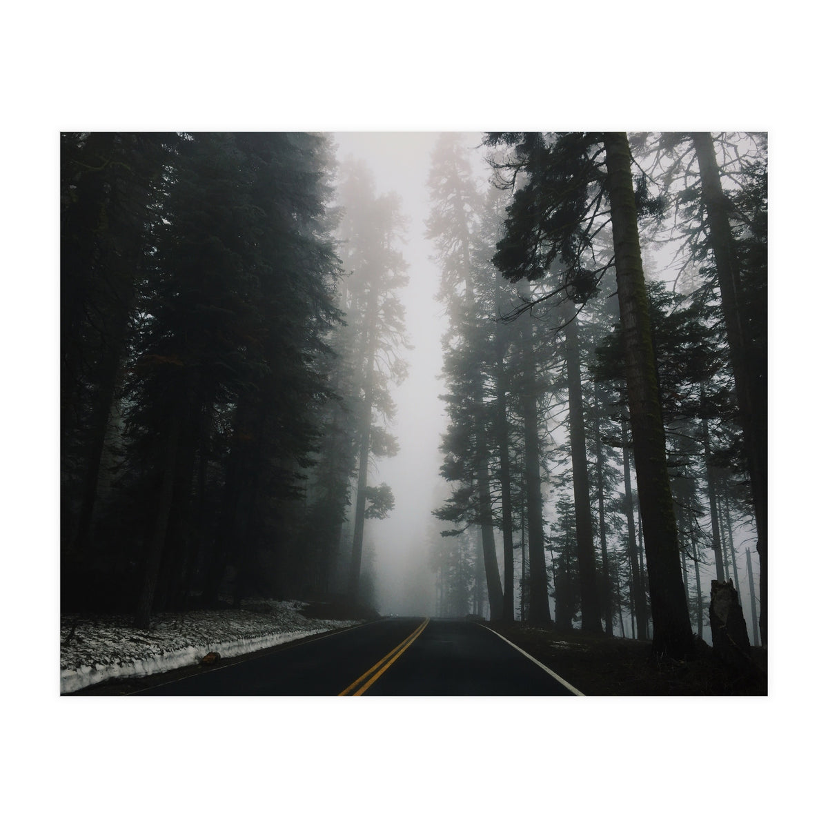 Foggy Yosemite (Print Only)