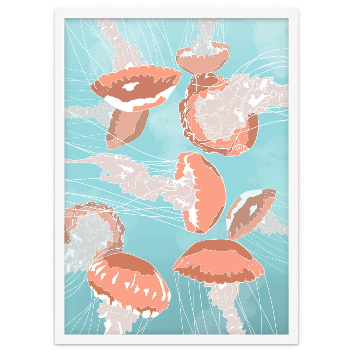 Jellyfish