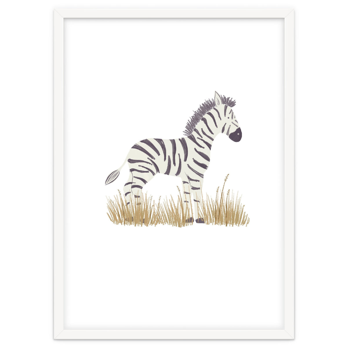 Zebra