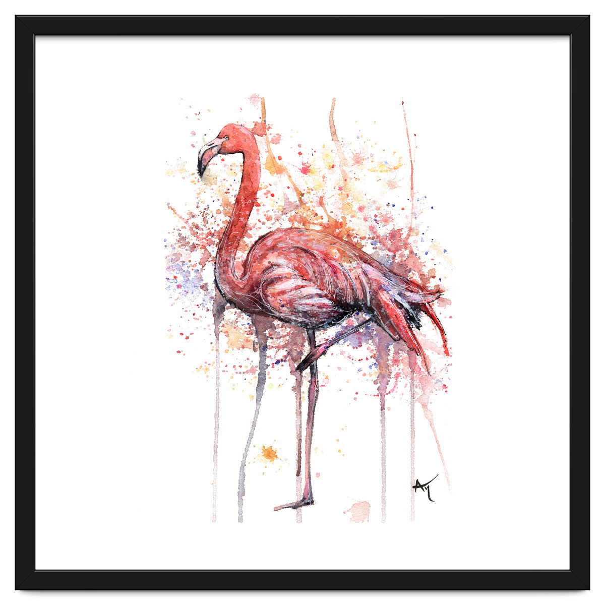 Flamingo - Wildlife Collection