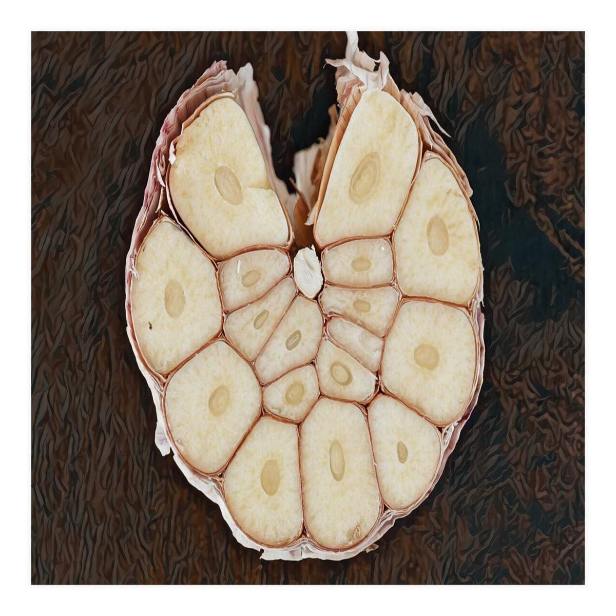 Garlic Italian Cuisine (Print Only)