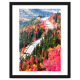 Valley of Pink Trees | Fantasy Pop of Color Forest Nature | Jungle Adventure Road Trip Pine thumbnail