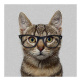 Cat Geek (Print Only) thumbnail