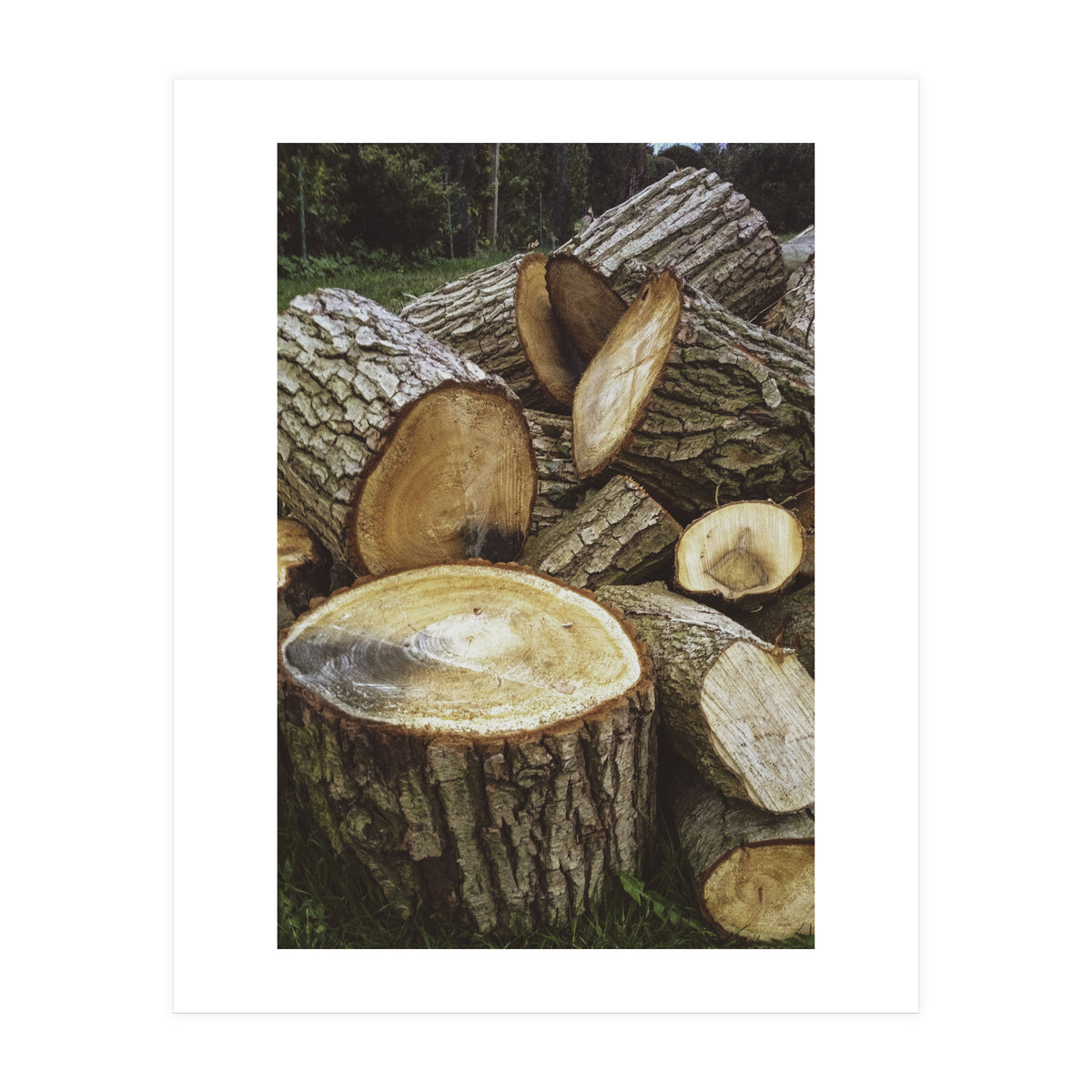 Bucolism 4 (Print Only)