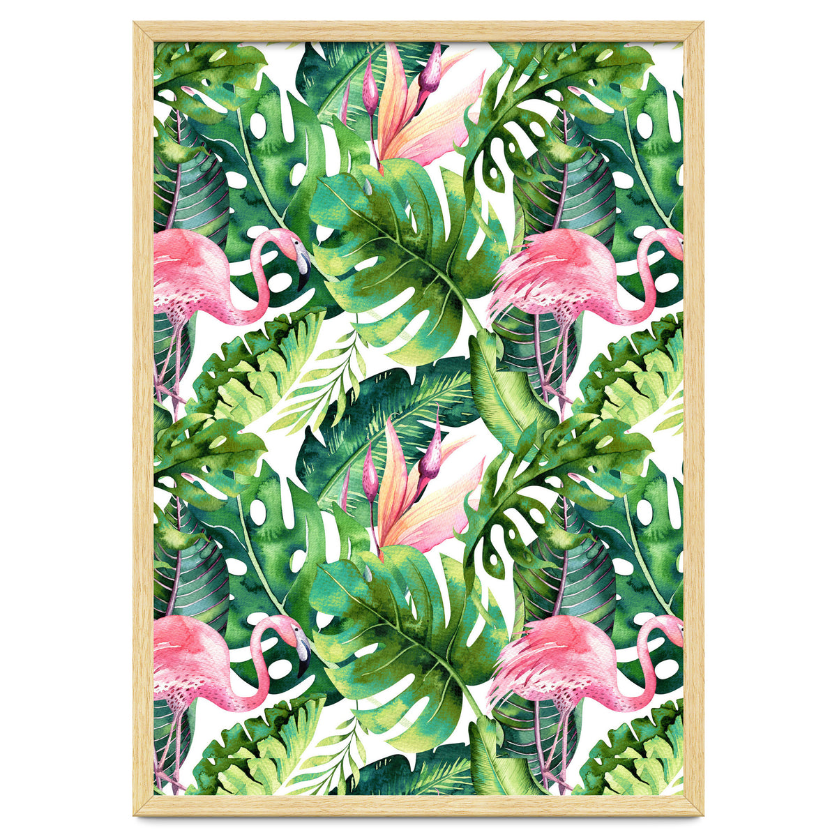 Flamingo Tropical II