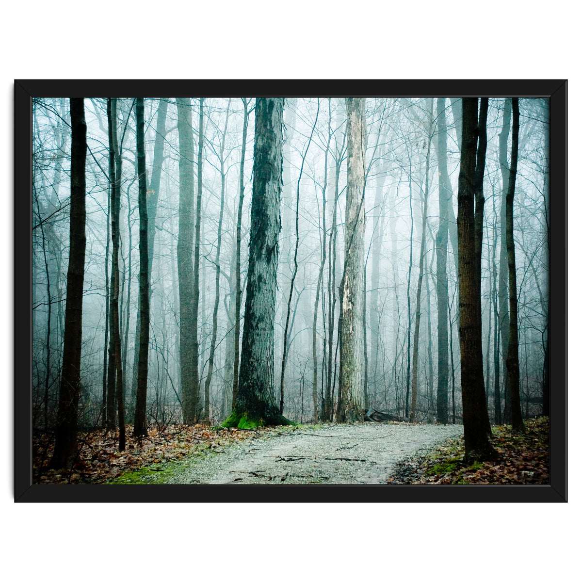 Gather Up Your Dreams