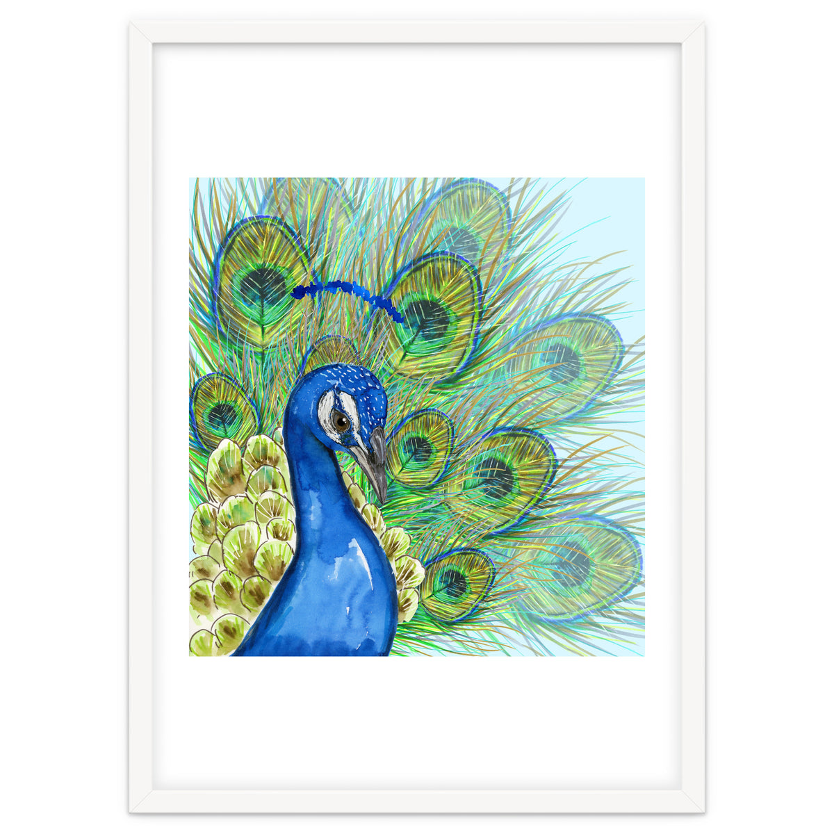 Peacock portrait