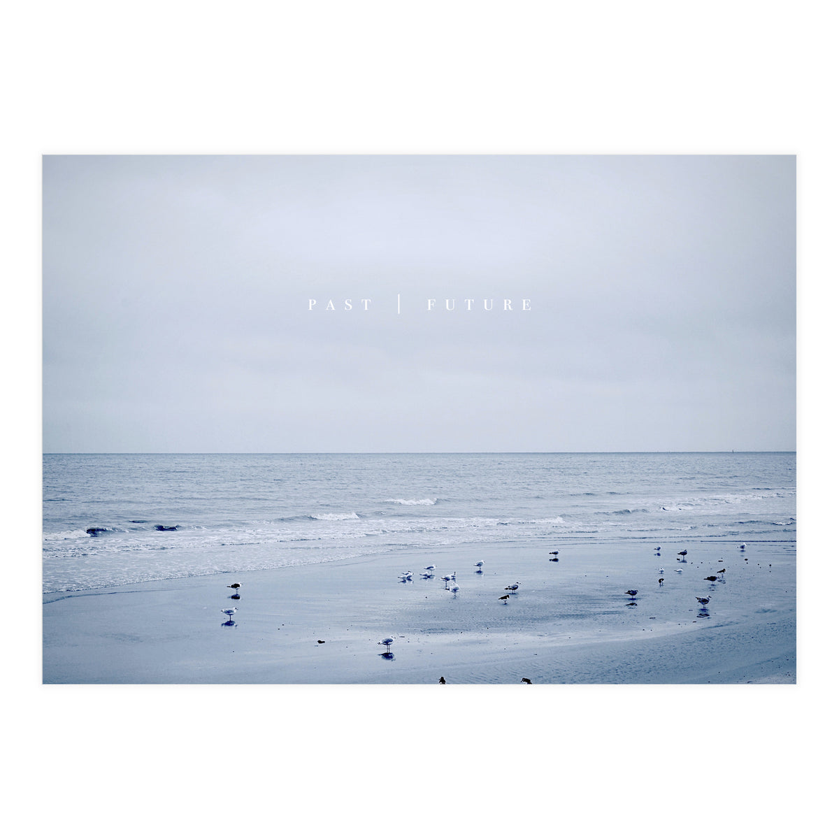 PAST | FUTURE  (Print Only)