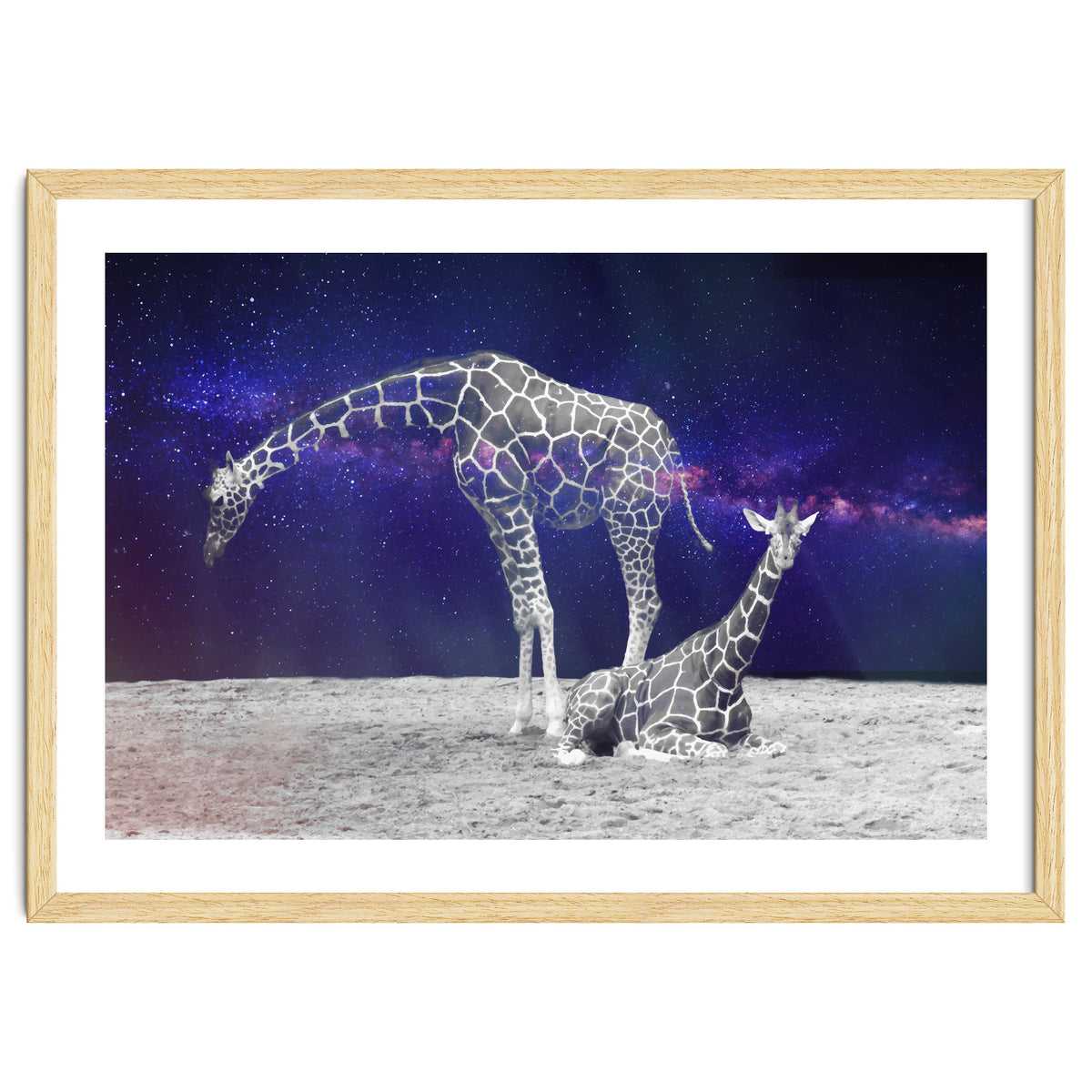Giraffes on The Moon