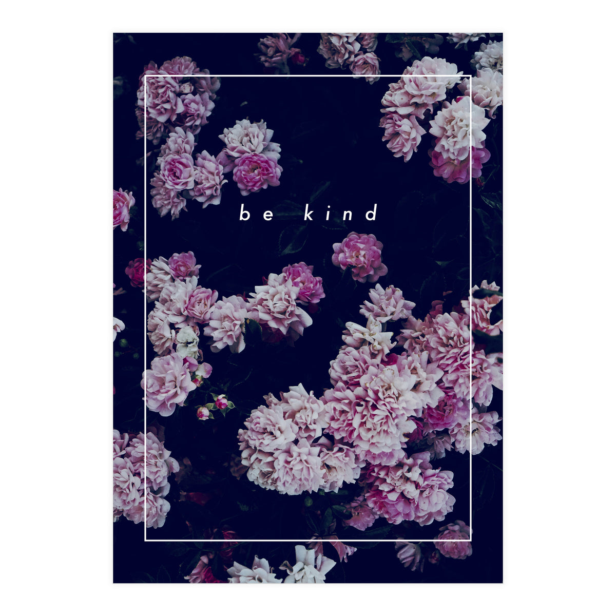 be kind - Photography - (Print Only)