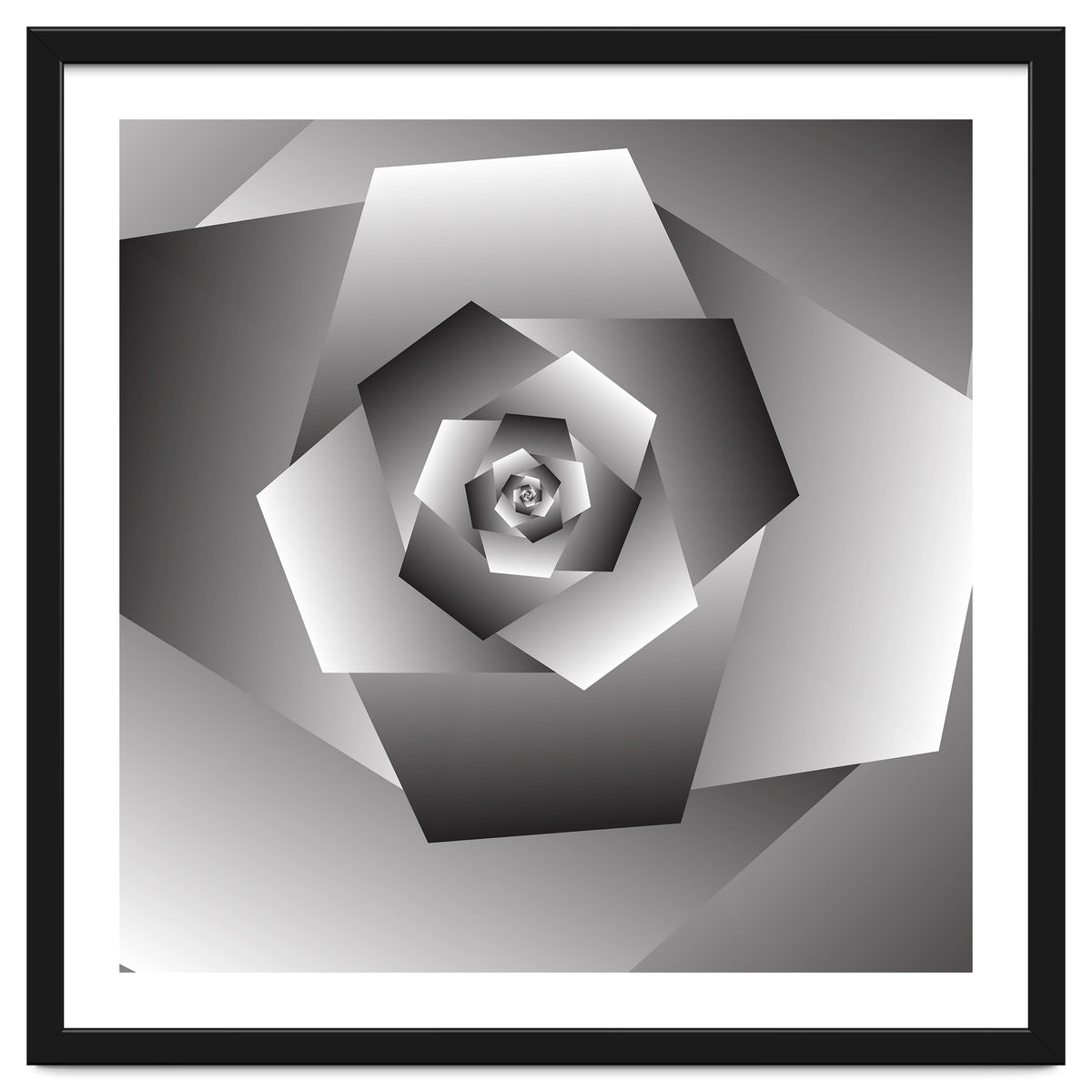 Monochrome Rose Spiral