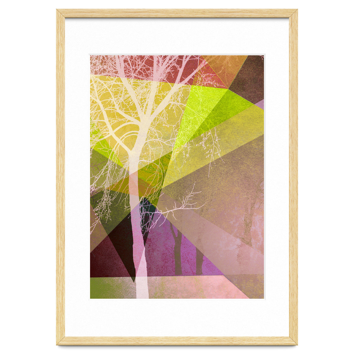 P22 Trees And Triangles