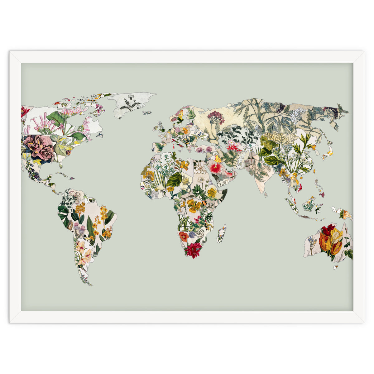 Vintage Botanical Map - Green