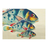 Fish Classic Designs 3 (Print Only)