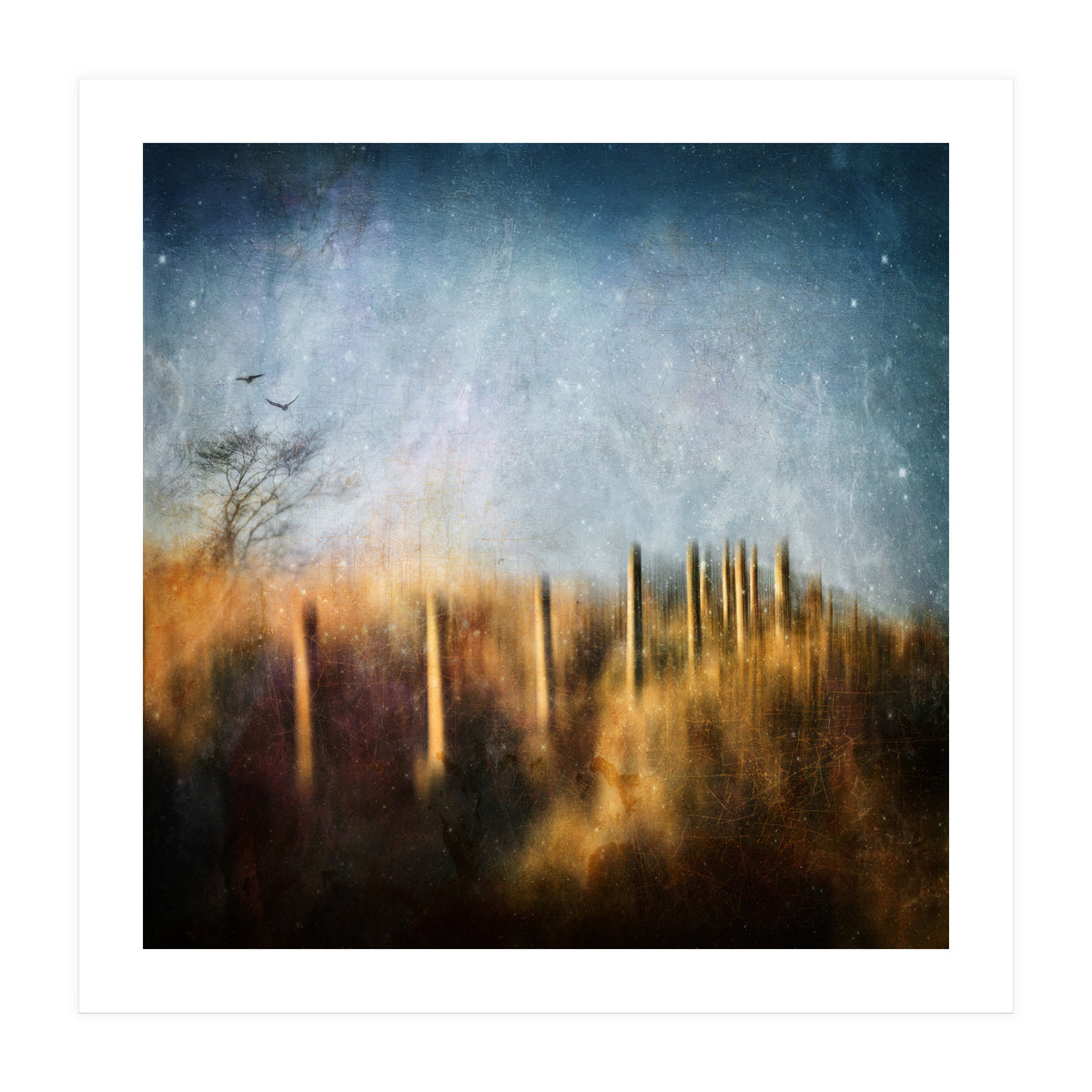 Those Beating Wings (Print Only)