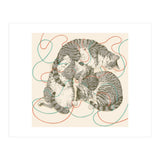 Cats (Print Only) thumbnail