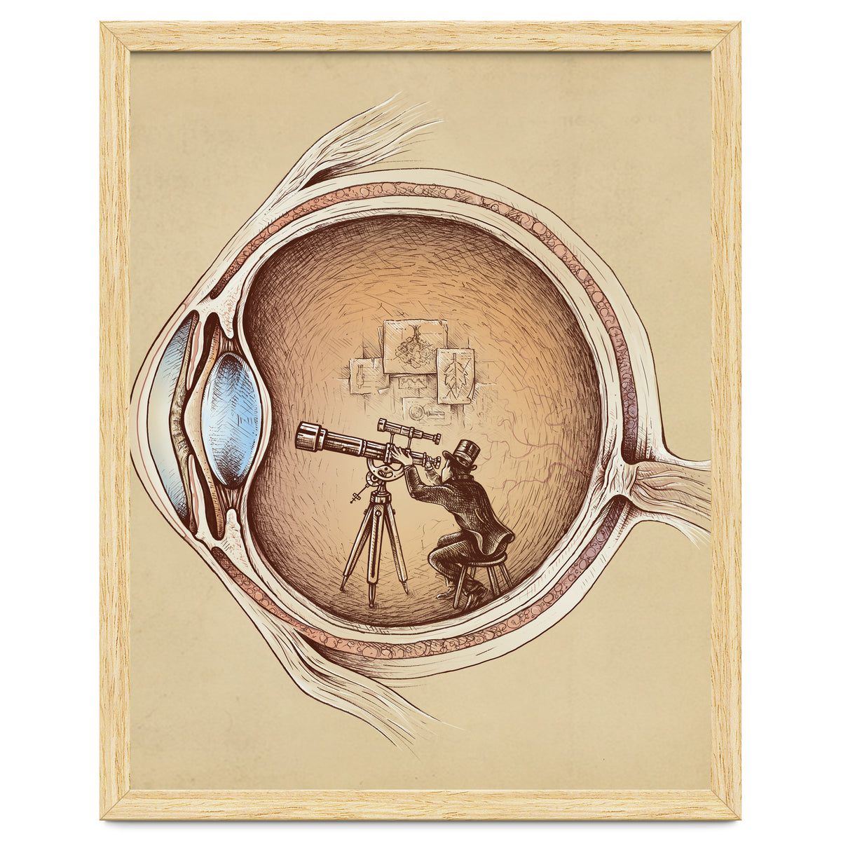 Extraordinary Observer