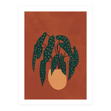 Boho Terracotta Begonia (Print Only) thumbnail