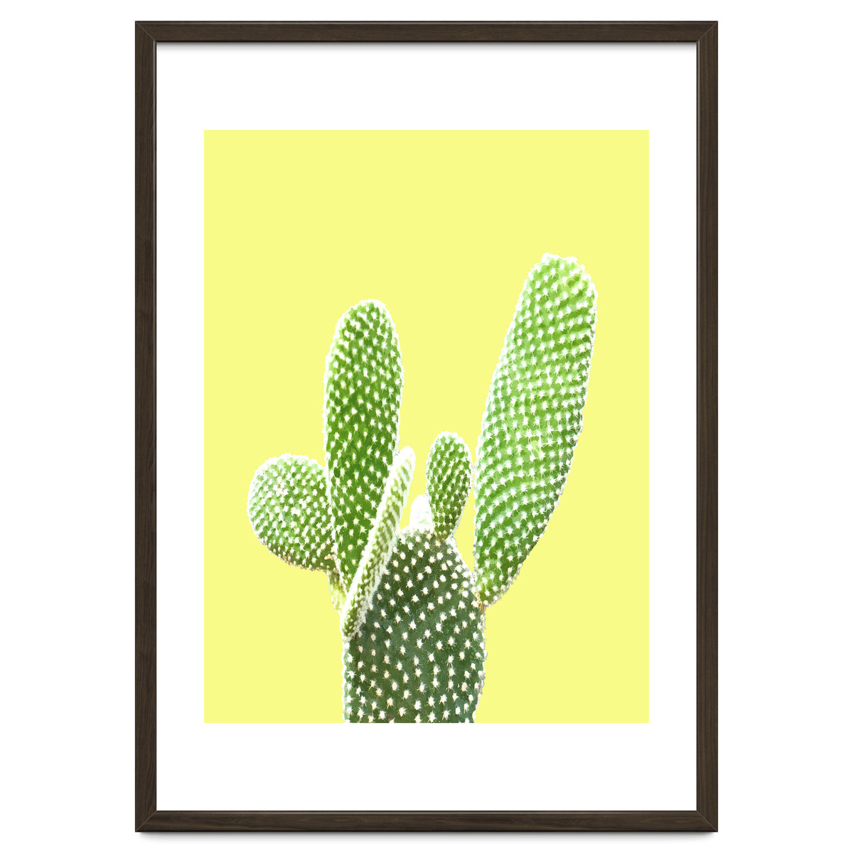 Cactus Yellow Background
