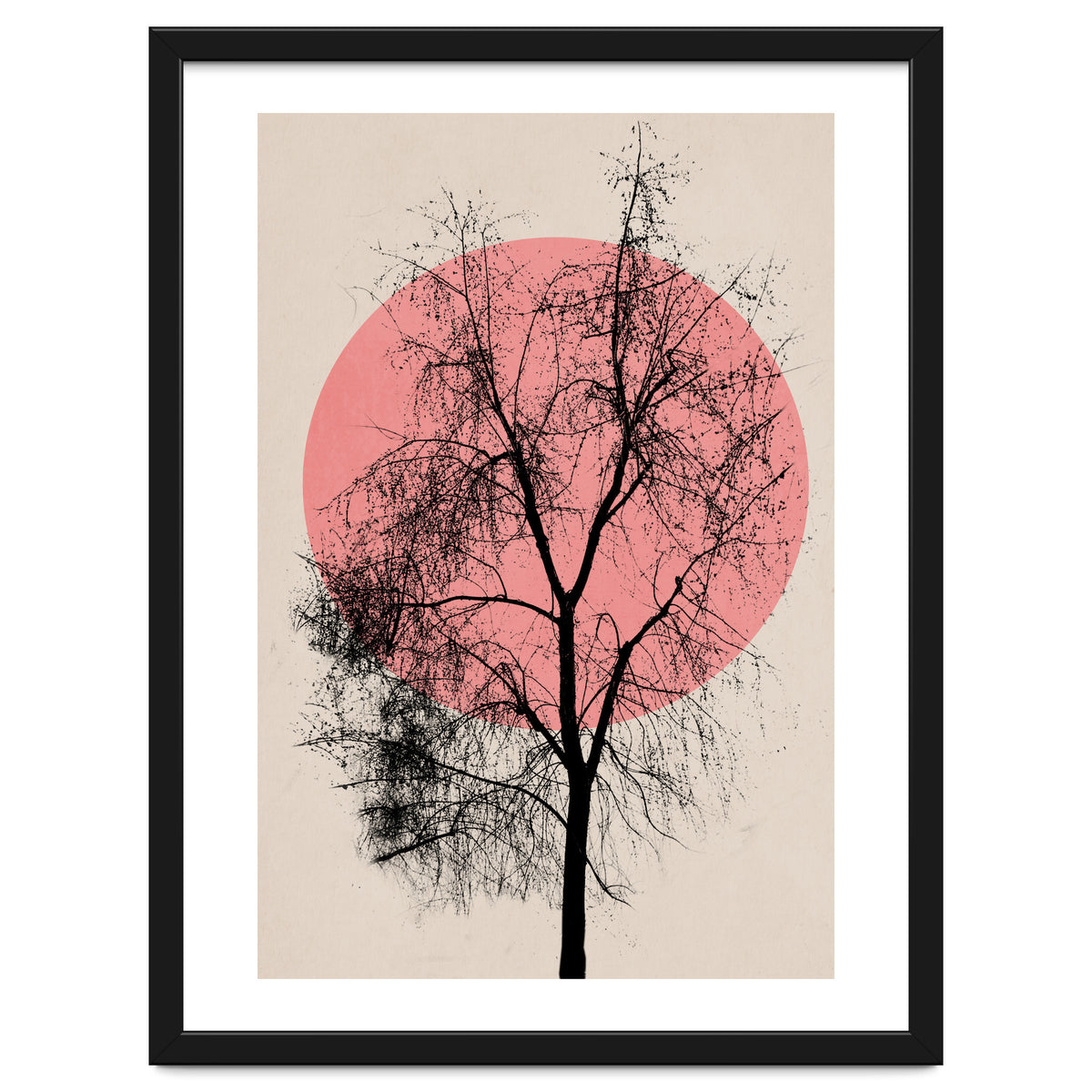 Memories And Moments