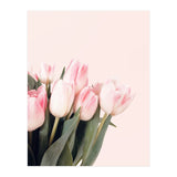 Pink Tulips (Print Only) thumbnail