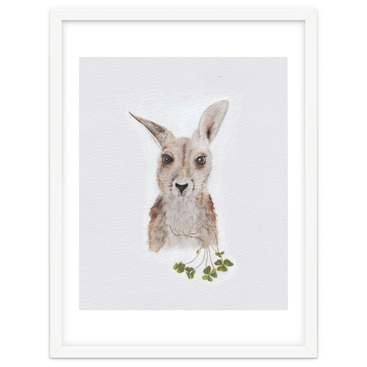 Wallaby - Australian Animal Series