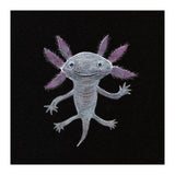 Axolotl (Print Only) thumbnail