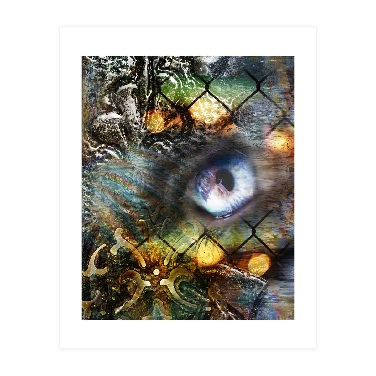 Perceptions (Print Only)