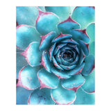 68a (Print Only) thumbnail