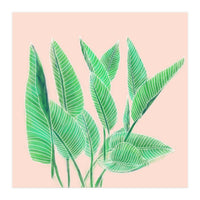 Modern Hand Painted Tropical Green Watercolor Leaf Bird Of Paradise On Pastel Pink (Print Only)