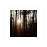 D3 A0 Cf3 E 6509 400 C 926 D 905230 D93 F61 (Print Only) thumbnail