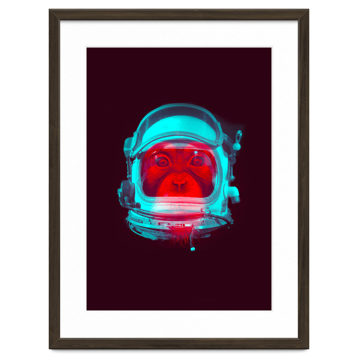 Astronaut