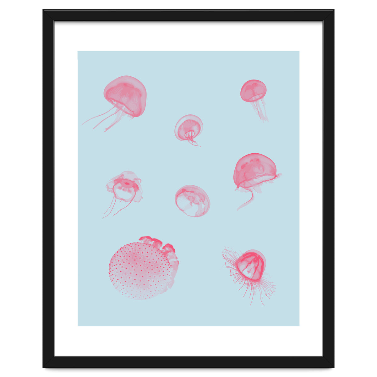 Jellyfish