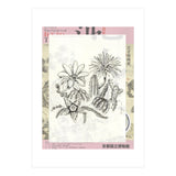 Cactus (Print Only) thumbnail