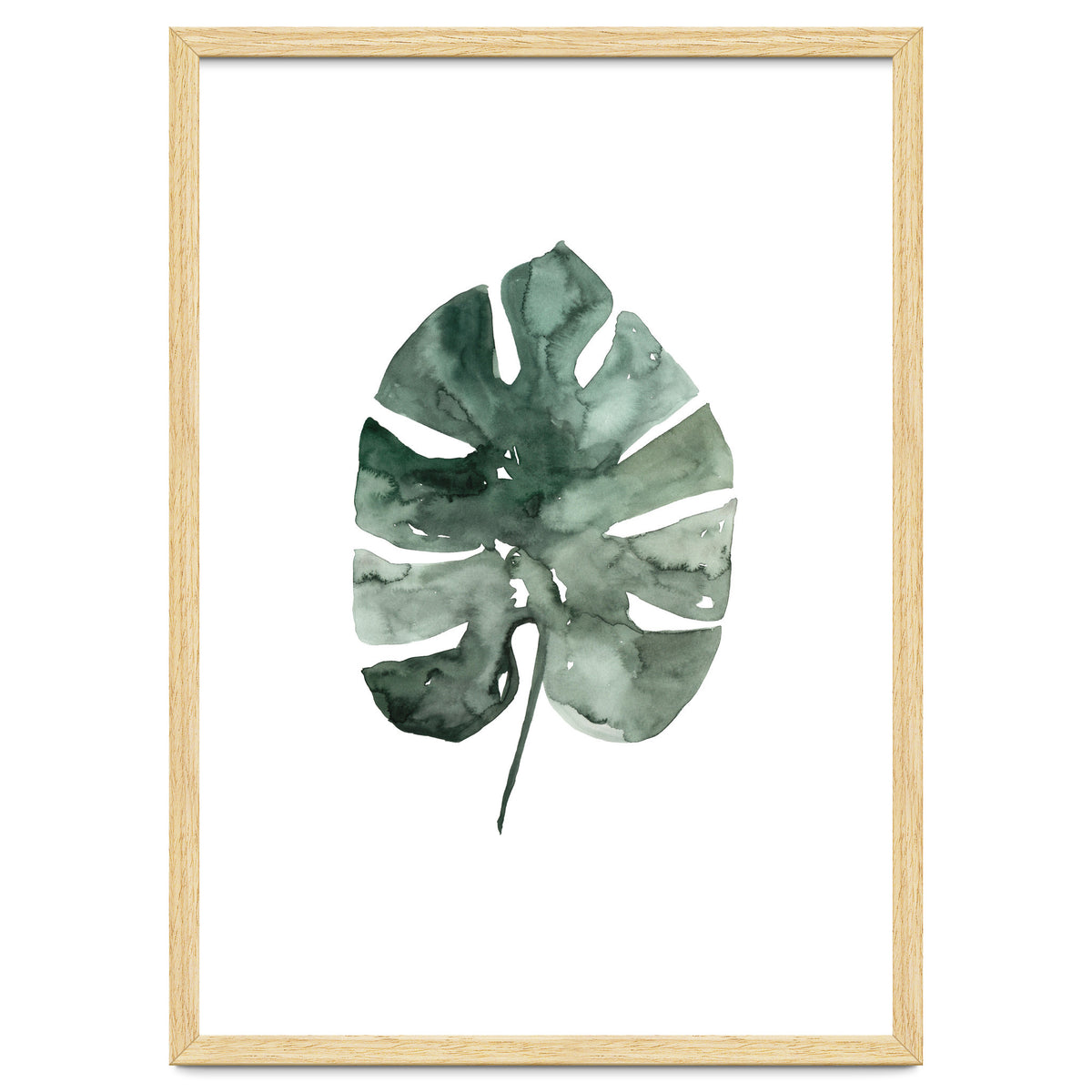 Botanical Illustration Monstera Leaf