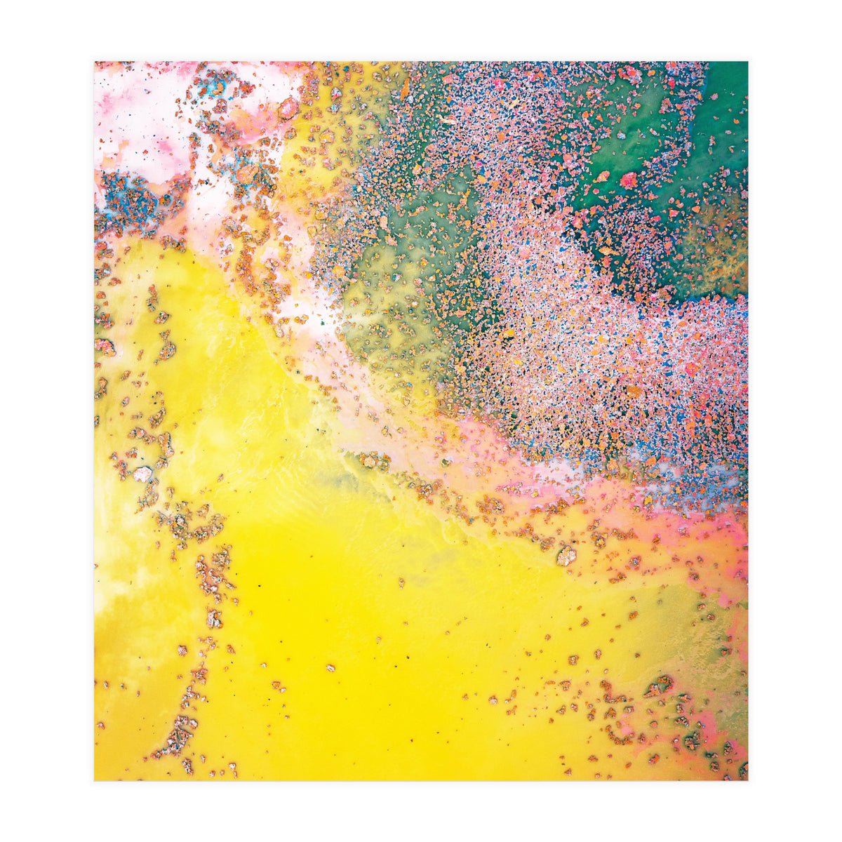 Random Bliss (Print Only)