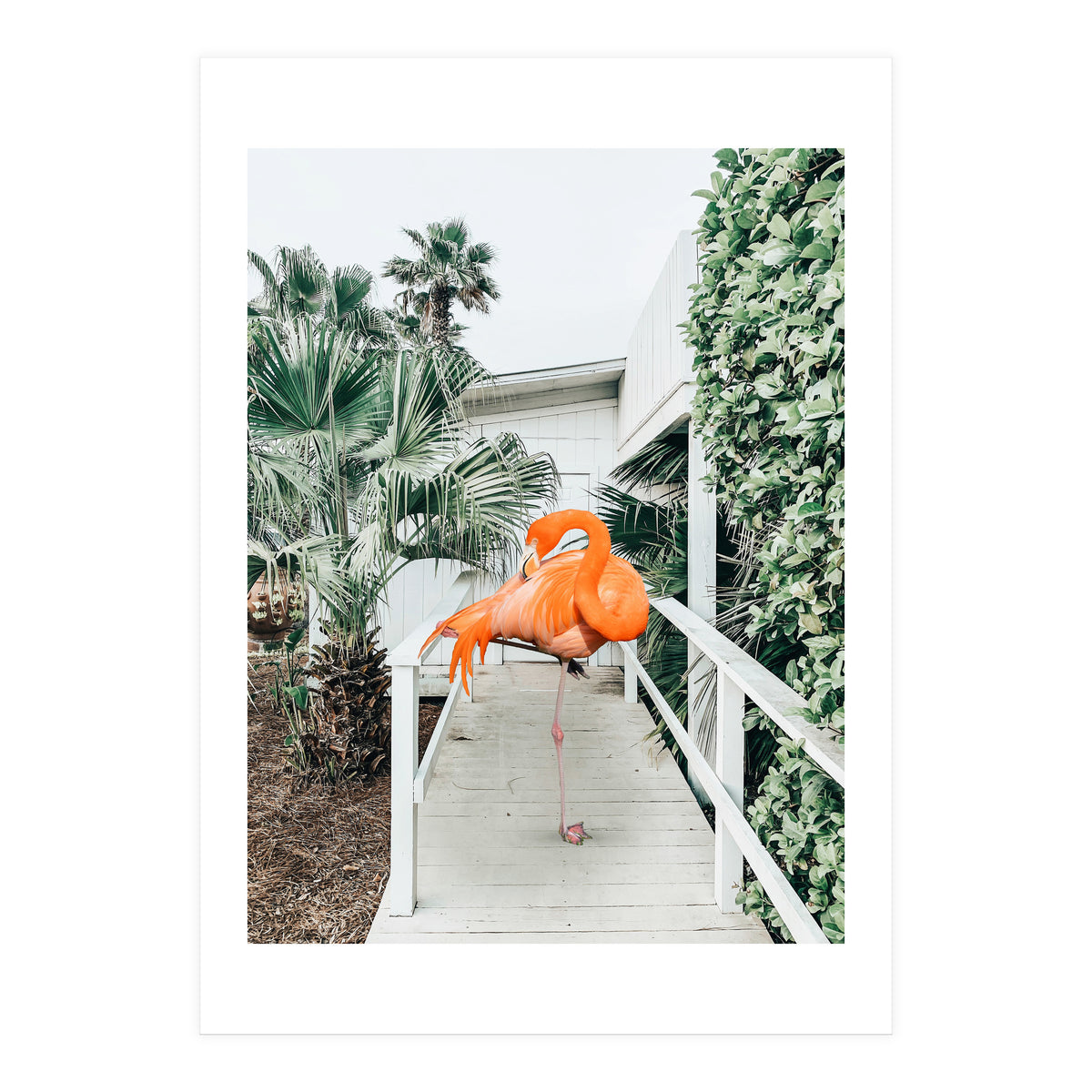 Flamingo Beach House (Print Only)