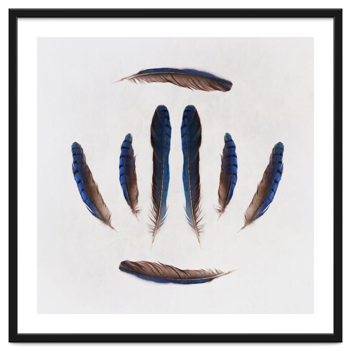 Forgive Me For Forgetting