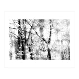 tree breeze (Print Only) thumbnail