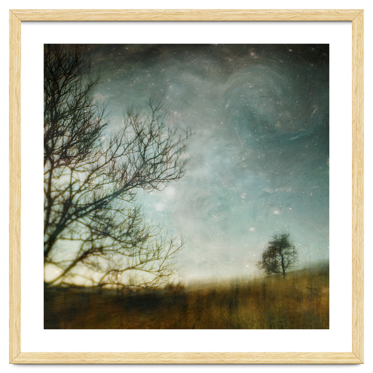 The Tree That Whispered