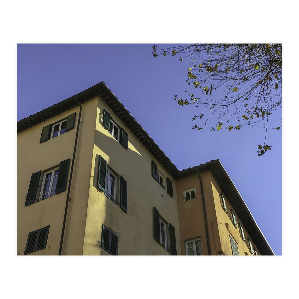 Windows From Tuscany 2 (Print Only)