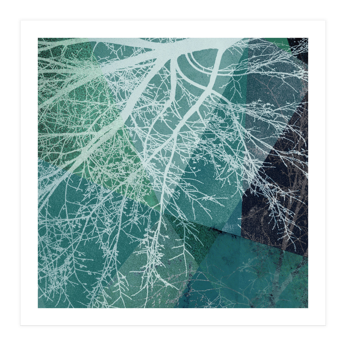 P19-E3 Trees and Triangles (Print Only)