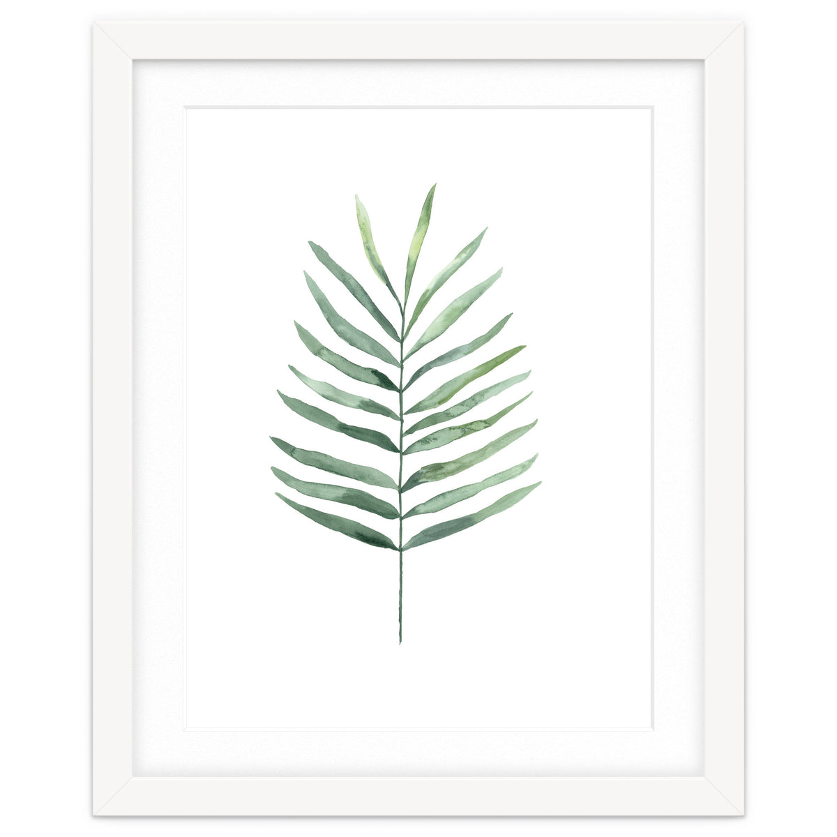 Botanical Illustration Fern