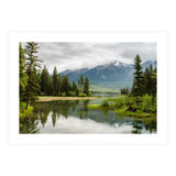 Nature (Print Only) thumbnail